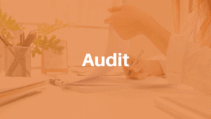 Audit